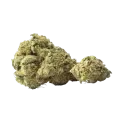 thumb of Yumboldt Banana Auto Bud