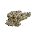 thumb of Zombie Death Fuck Bud