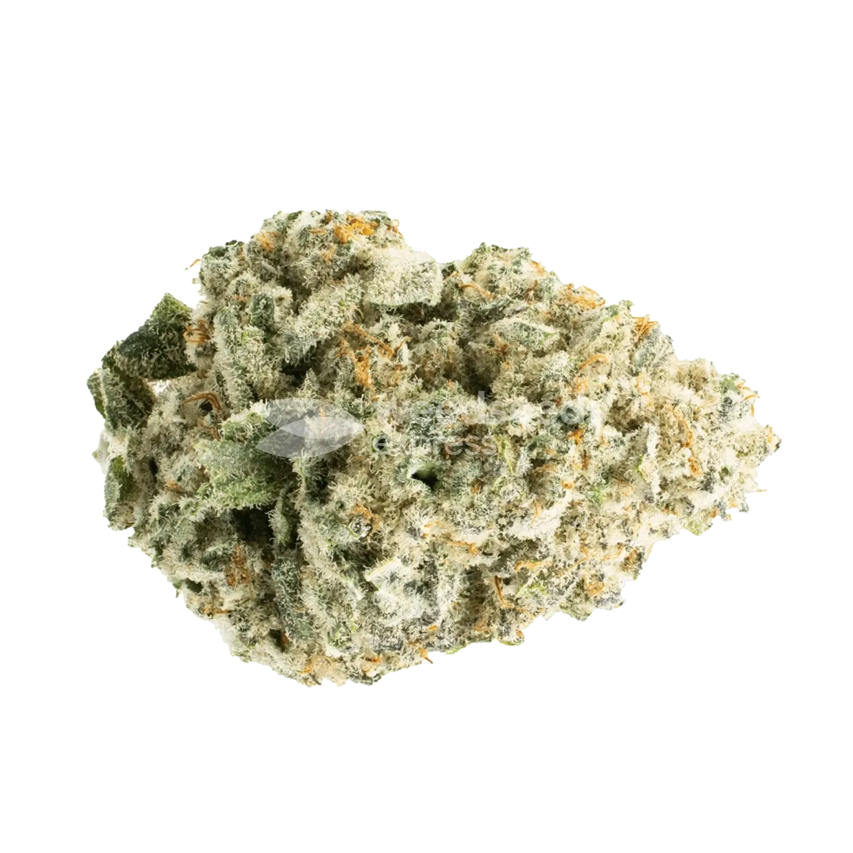 Super Boof Bud ertragreich