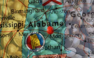 Best Strains to Grow in Alabama (2026): An Expert Grower's Guide