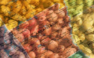 Best Strains to Grow in Arkansas (2026): An Expert Grower's Guide