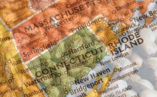 Best Strains to Grow in Connecticut (2026): An Expert Grower's Guide