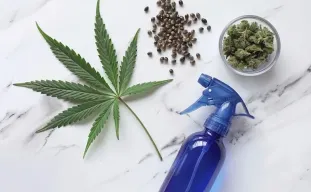 How to Make Your Own Feminized Seeds at Home