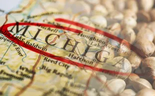 10 Best Strains to Grow Outdoors in Michigan (2026): The Expert Guide to Beating Frost & Mold