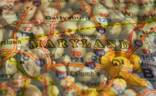 Best Strains to Grow in Maryland (2026): An Expert Grower's Guide