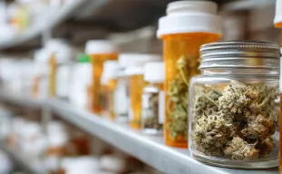 Medical Cannabis today - Science, Safety, and the End of Stigma