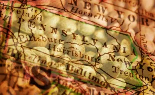 Best Strains to Grow in Pennsylvania (2026): An Expert Grower's Guide