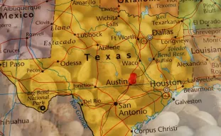 Best Strains to Grow in Texas (2026): An Expert Grower's Guide