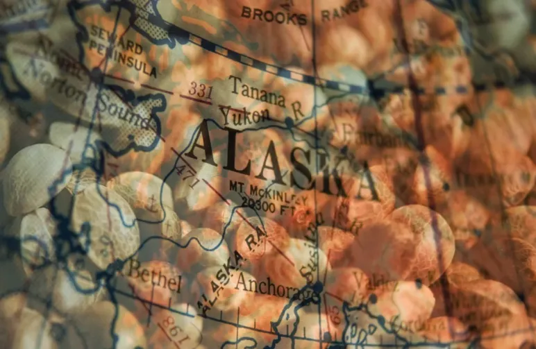 Best Strains to Grow in Alaska (2026): An Expert Grower's Guide