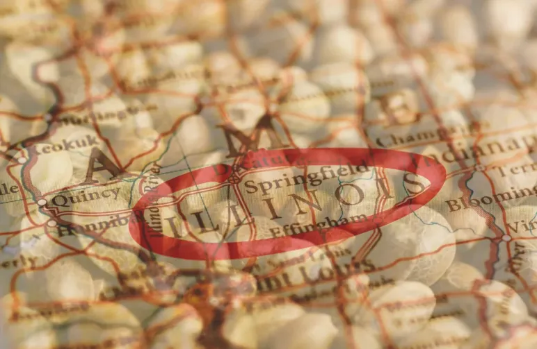 10 Best Strains to Grow Outdoors in Illinois (2026 Guide): Proven High-Yield Picks