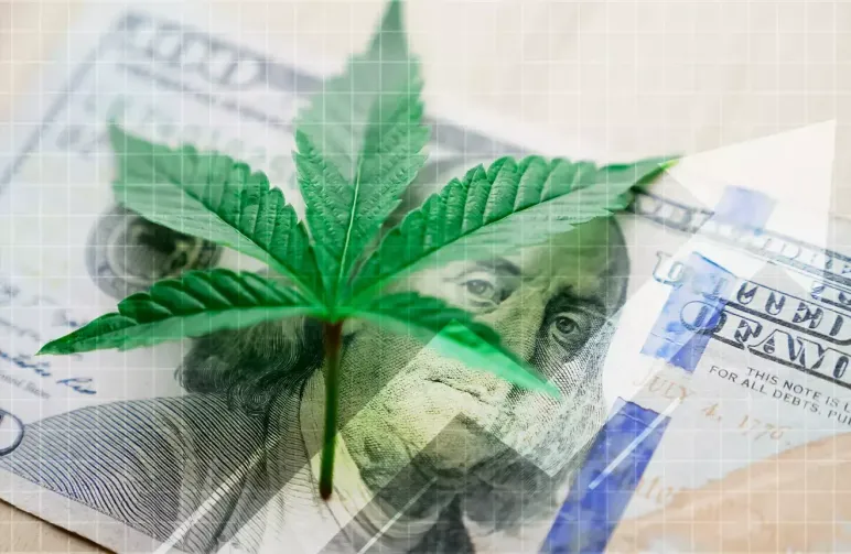 Step-By-Step Guide: How to Pay for Cannabis Seeds with Cryptocurrency