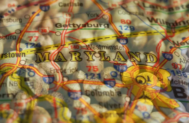 Best Strains to Grow in Maryland (2026): An Expert Grower's Guide