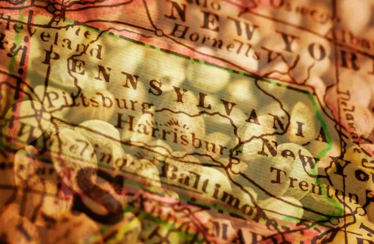 Best Strains to Grow in Pennsylvania (2026): An Expert Grower's Guide