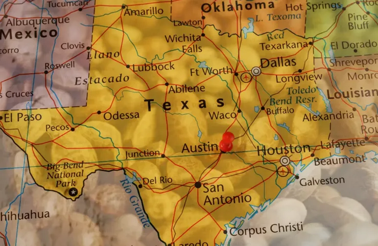 Best Strains to Grow in Texas (2026): An Expert Grower's Guide