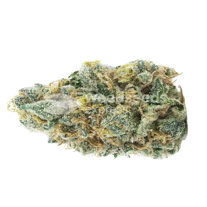 Apples and Bananas Bud
