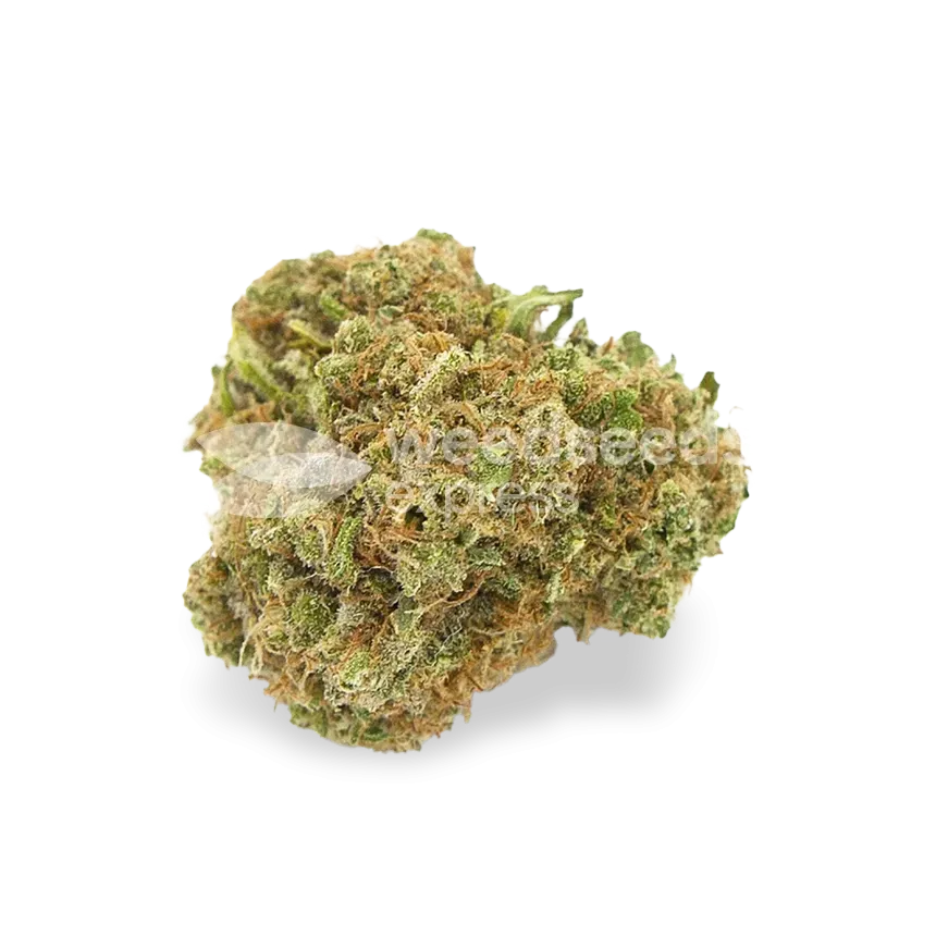 Blue Cheese bud