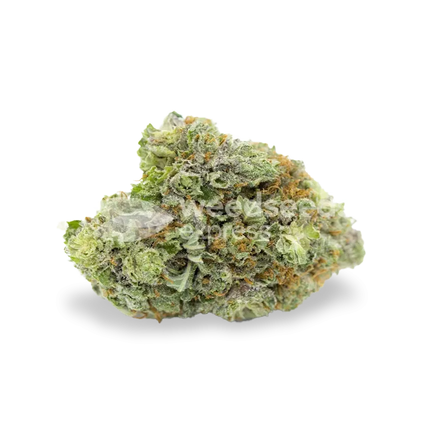 Bruce Banner bud