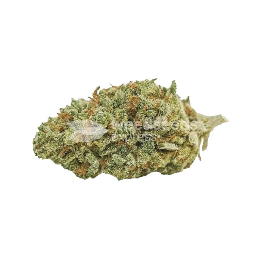 Bubba Kush Auto Bud