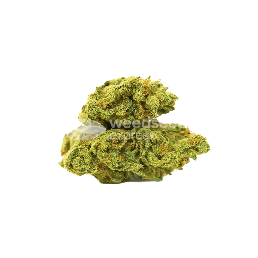 C. Banana Auto Bud