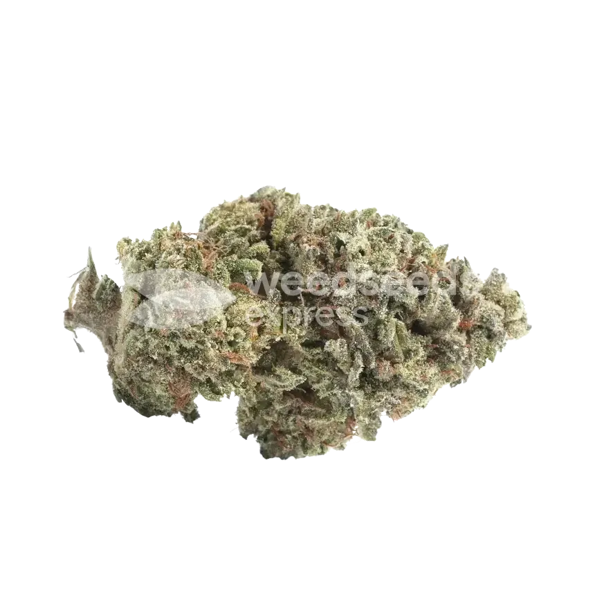 Canadian Haze Bud