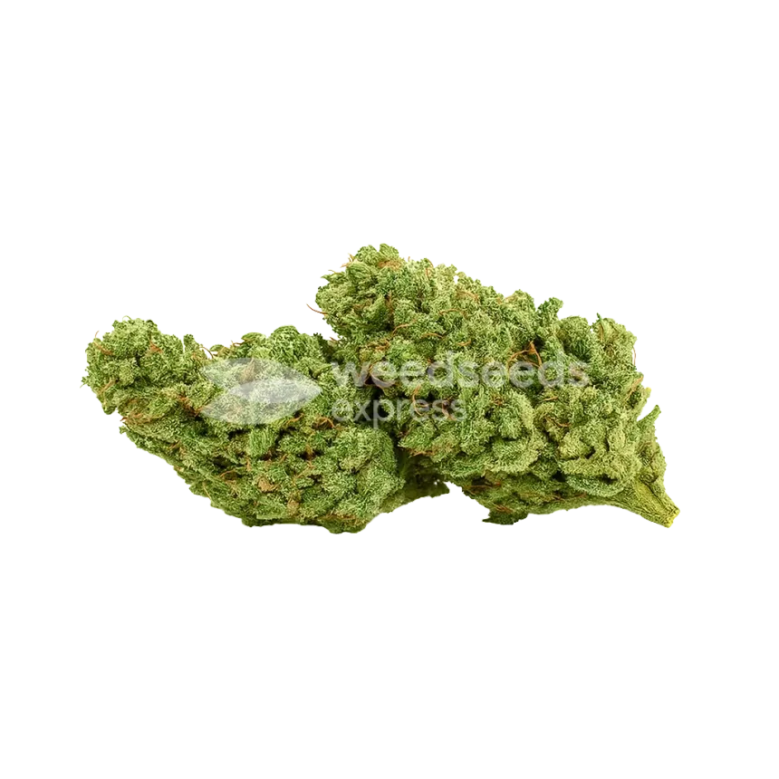 Cherry AK Auto Bud