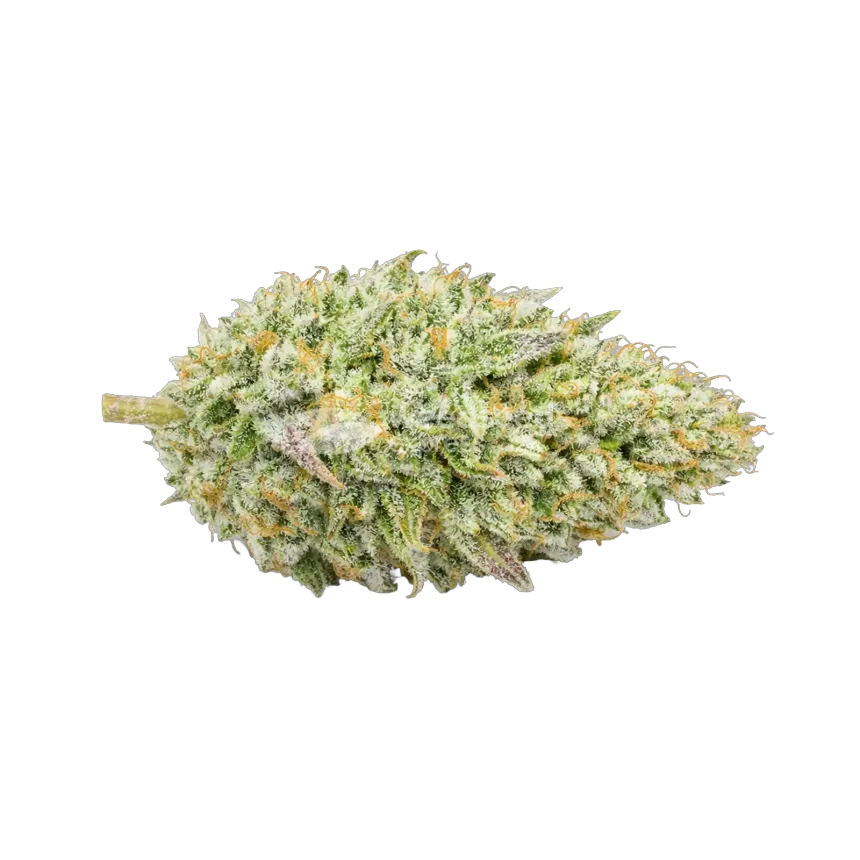 Chronic Cannabis Bud