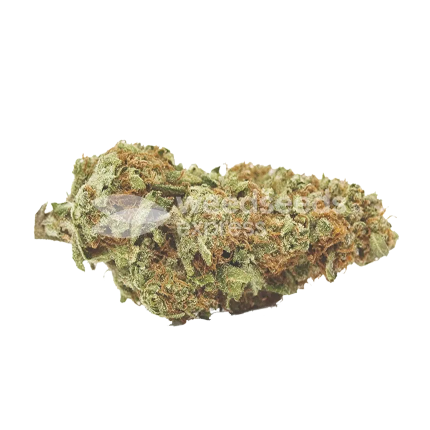 Crystal Bud