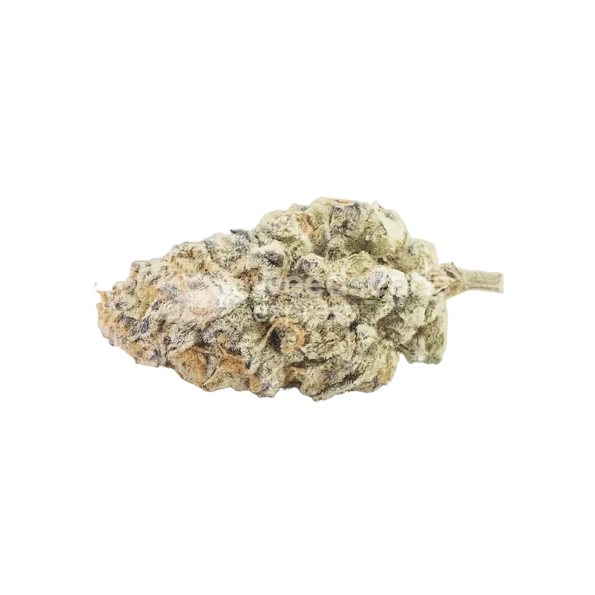 Bud de Do-si-Dos Auto
