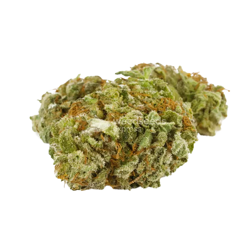 Doug's Varin Cannabis Bud