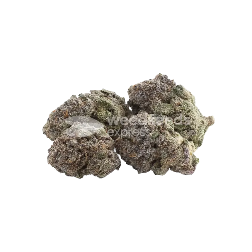 Durban Poison Auto Bud