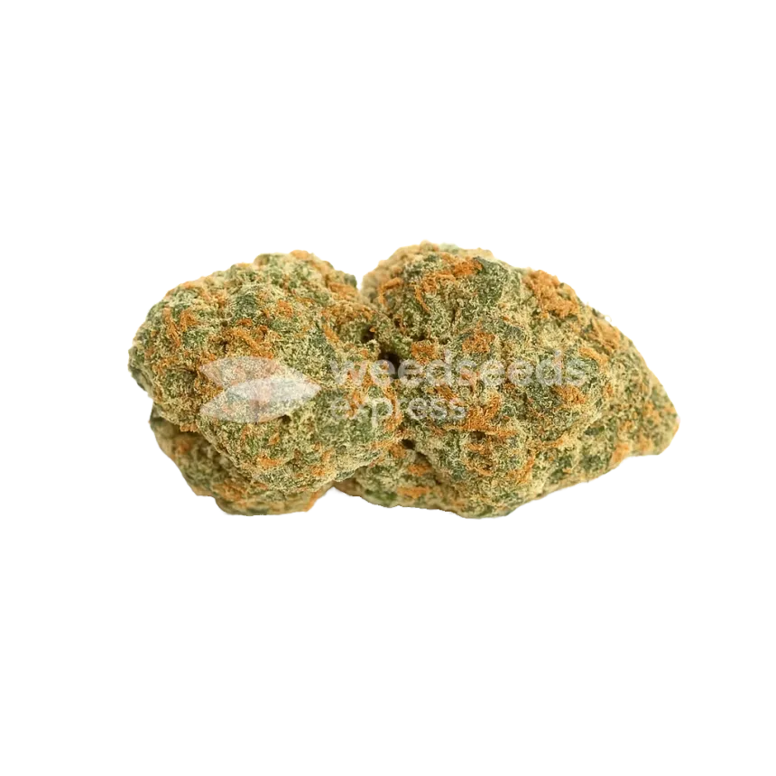 Fat Bastard Auto Bud