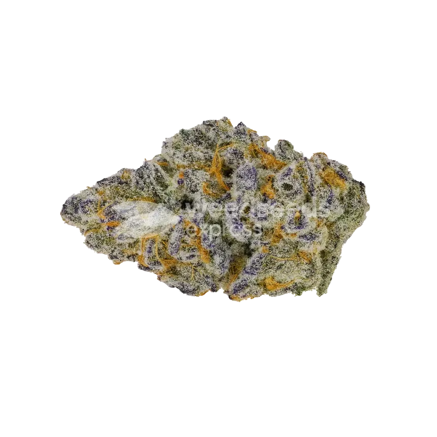 Future #1 Auto Bud