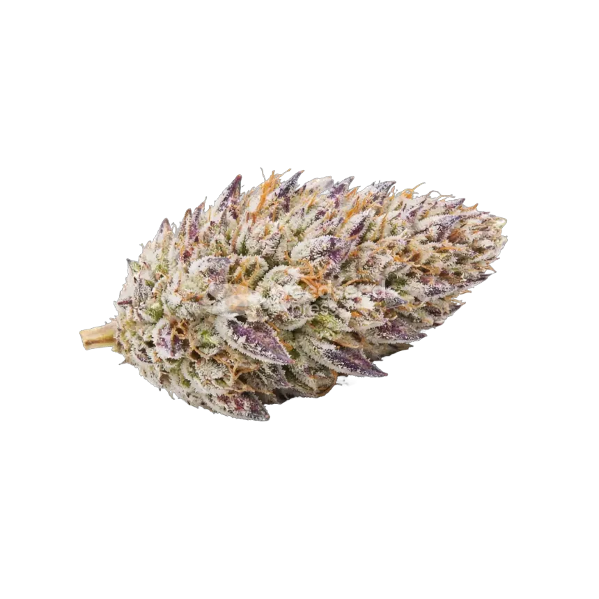 Glitter Bomb Cannabis Bud