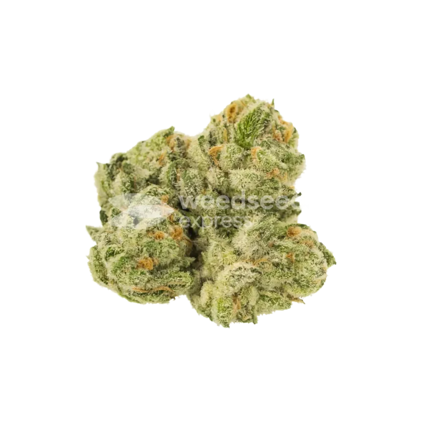 Bud de Glookies Auto