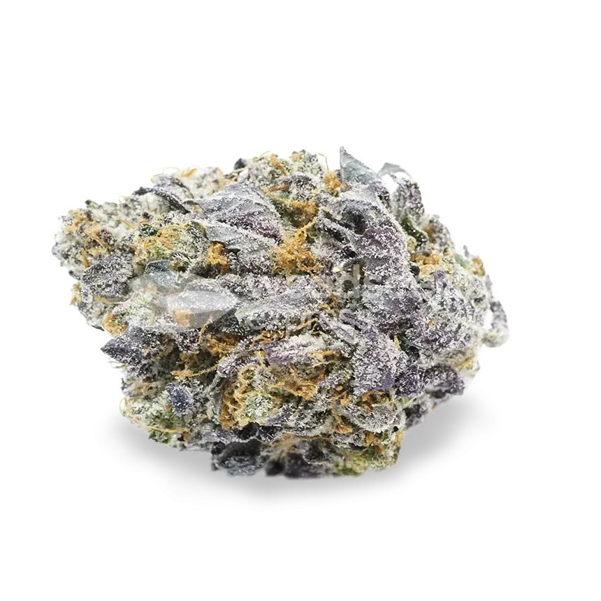 Granddaddy Purple bud