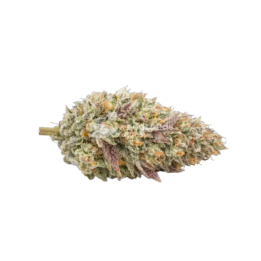Gumbo-Cannabisblüte