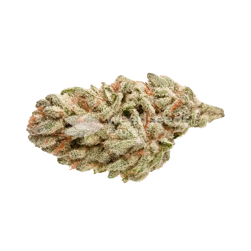 LA Confidential Auto Bud