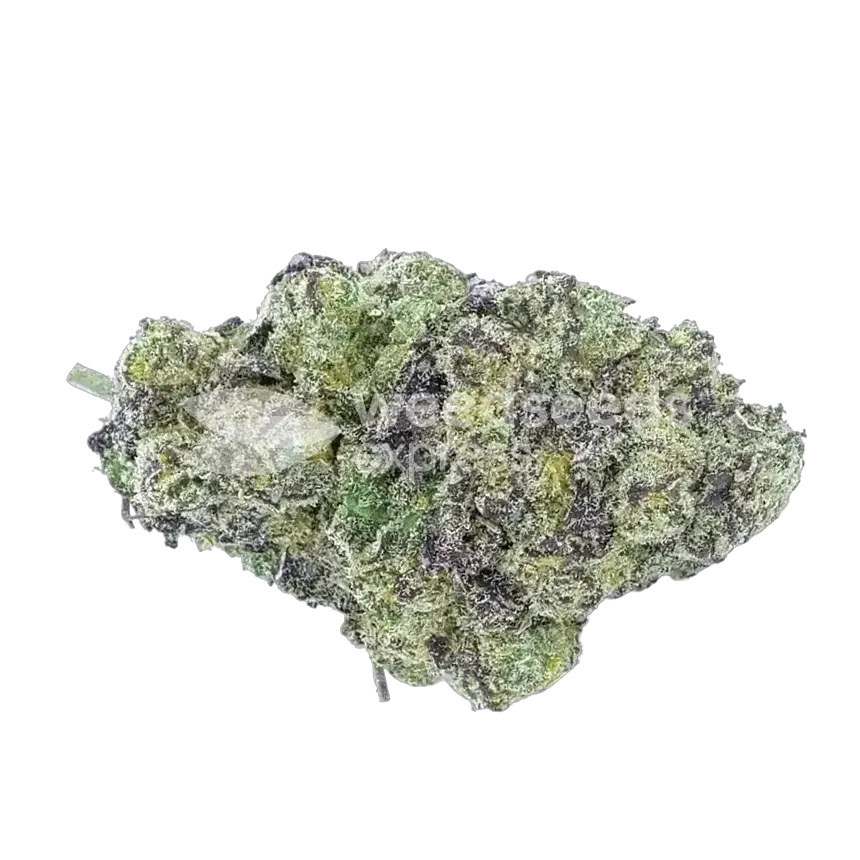 Lemon Cherry Gelato Bud