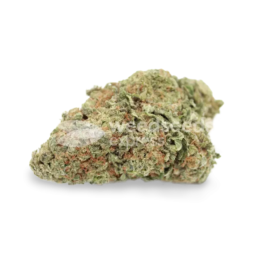 Lithium OG Kush bud