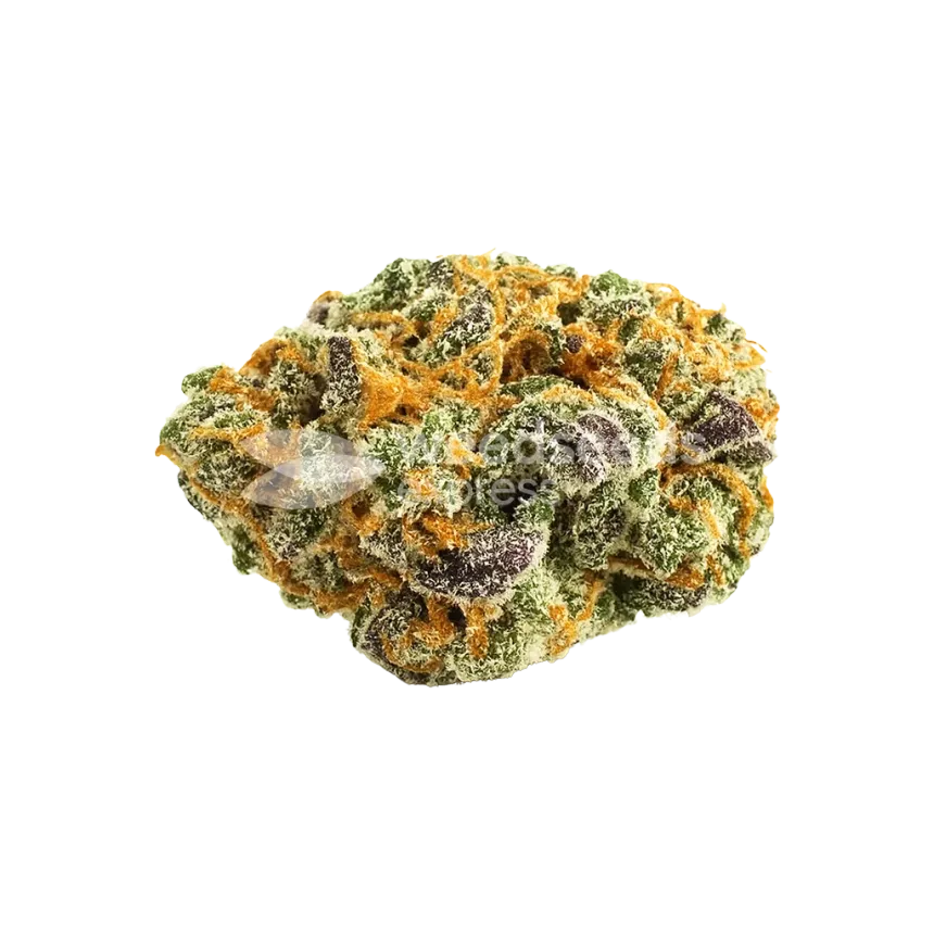 Love Potion Auto Bud