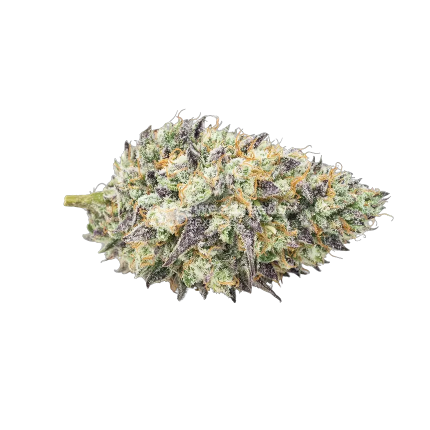 Mendo Breath -Cannabisblüte