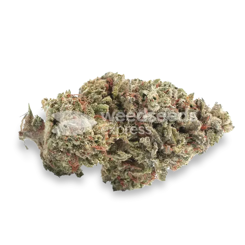 Peanut Butter Breath Bud