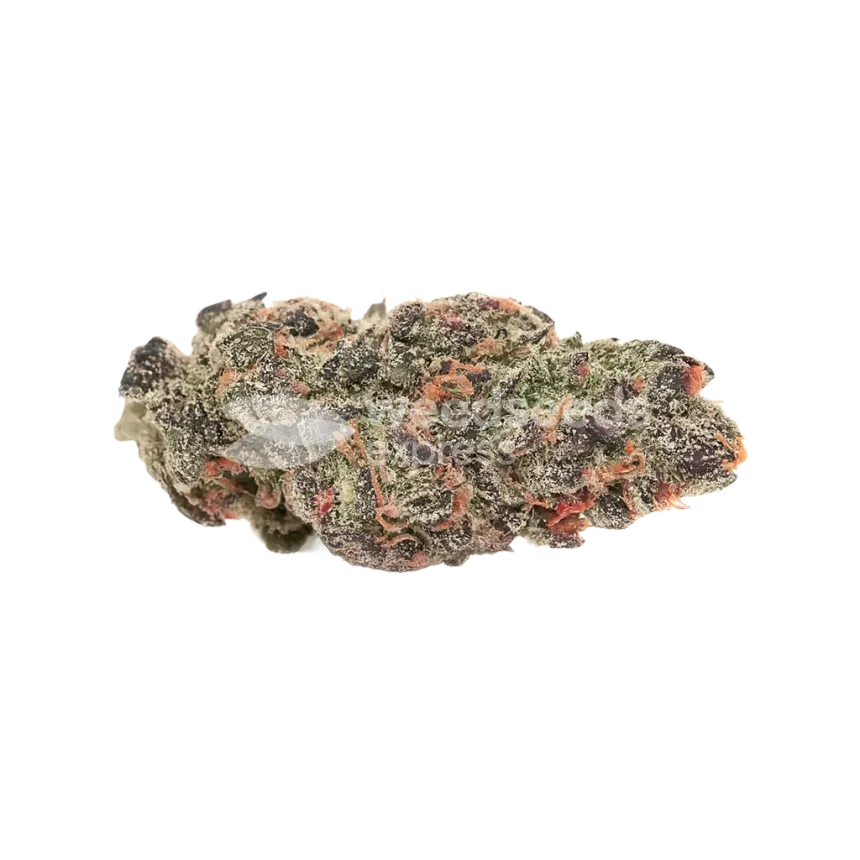 Pink Runtz Auto Bud