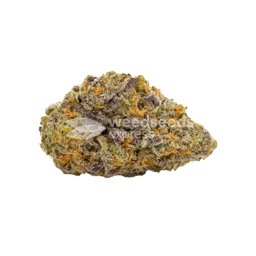 Purple Gelato Auto Bud