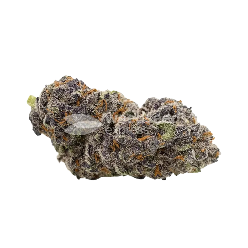 Bud de Purple Punch Auto