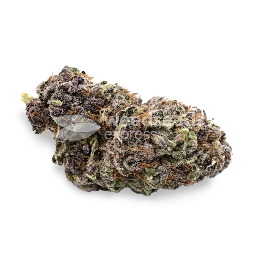 Purple Punch bud