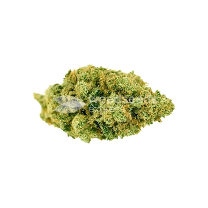 Bud de Strawberry Banana Auto