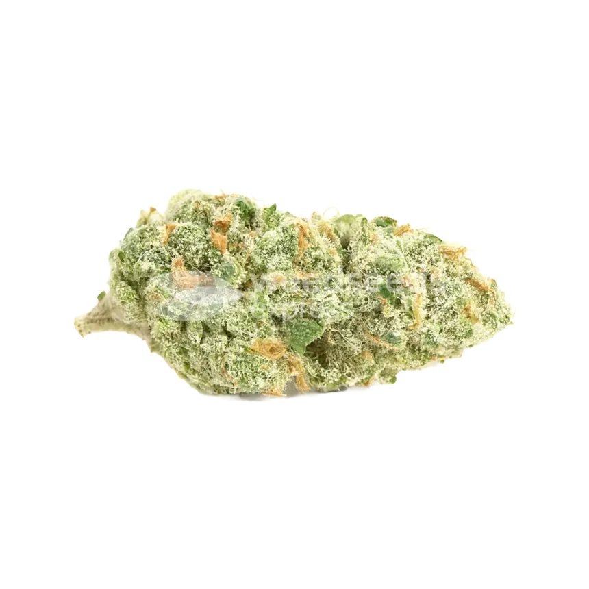 Sweet Tooth Auto Bud