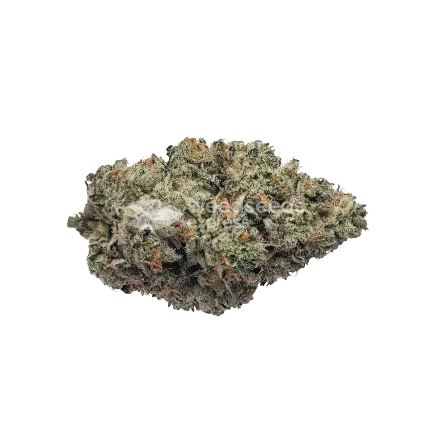 The Toad Cannabis Bud