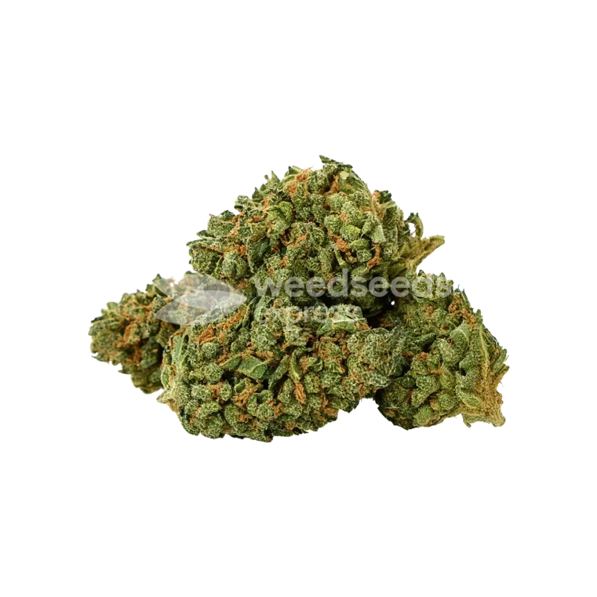 Wedding Cake Auto Bud